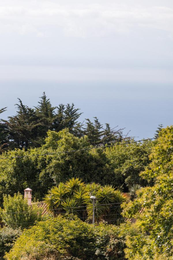 Maison Mialon: Country House Amidst Of Nature La Esperanza  Exterior photo